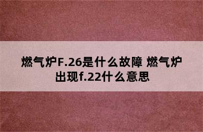 燃气炉F.26是什么故障 燃气炉出现f.22什么意思